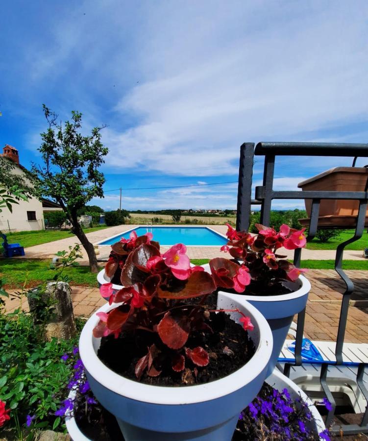 House Sweet * Umag